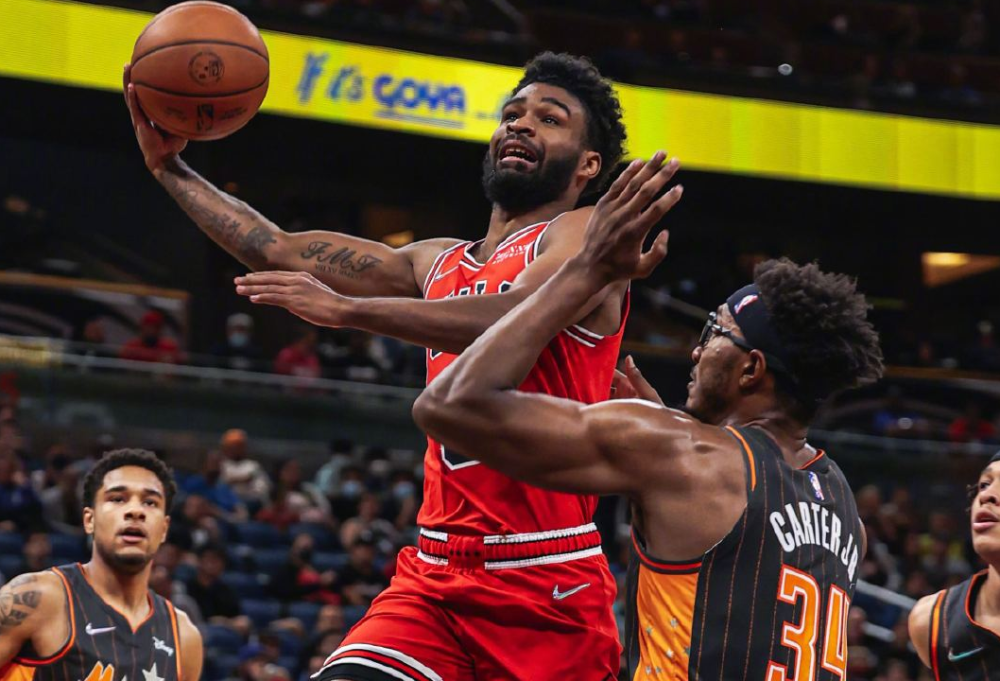 公牛横扫福建队，武切维奇状态火热